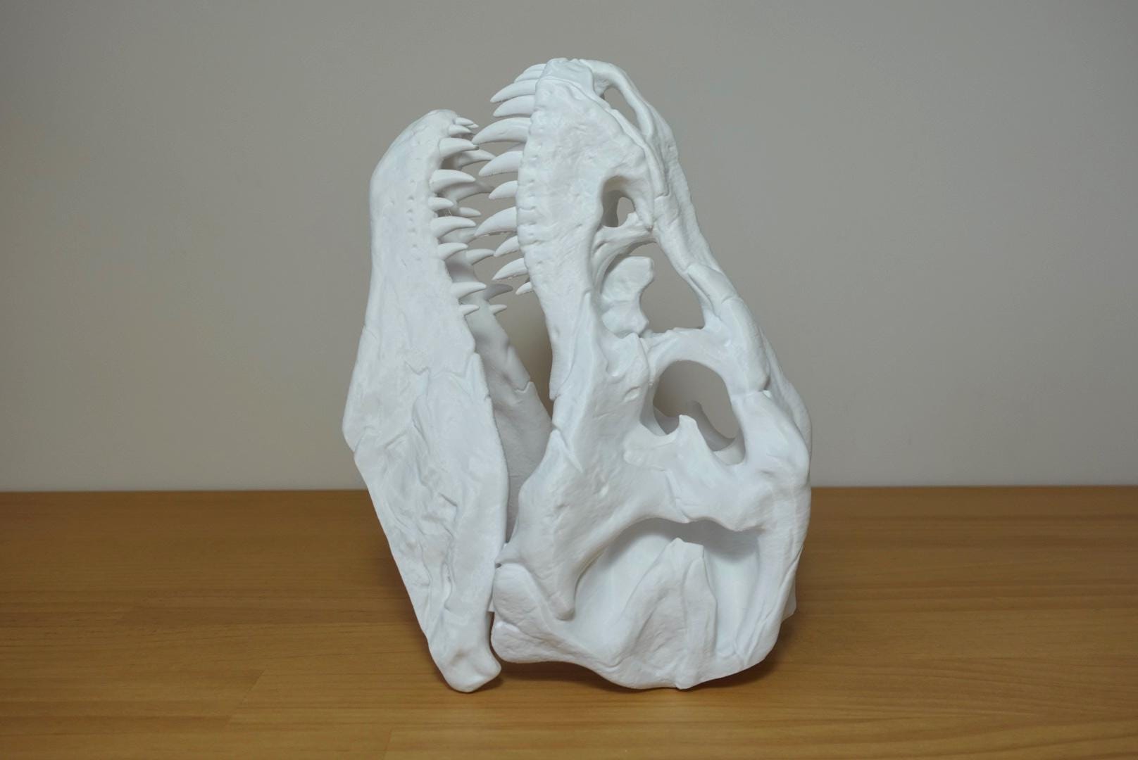 Detailed T-Rex Skull | Realistic Dinosaur Skull Decor | 3D Printed Fossil | Multiple Sizes & Colors
