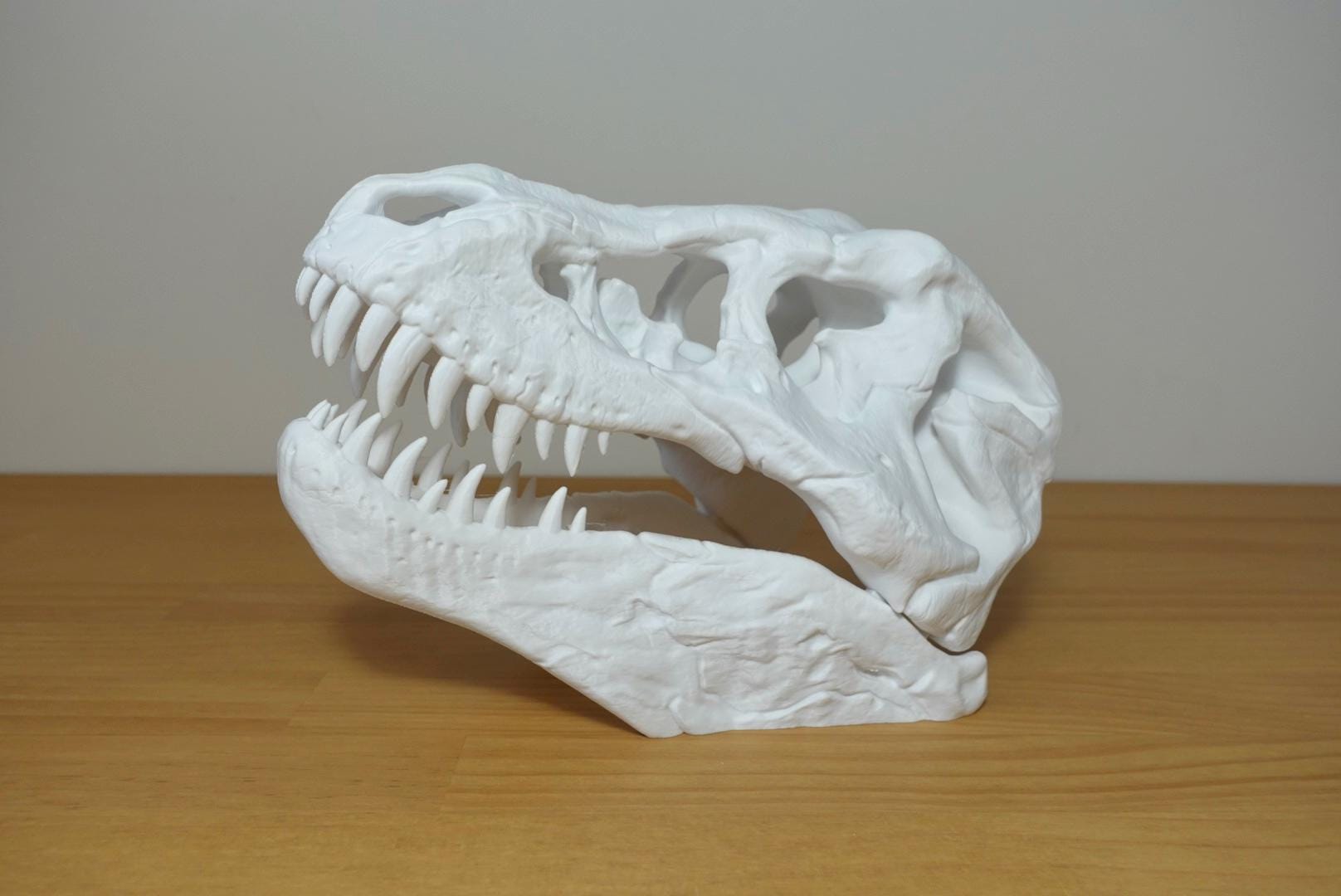 Detailed T-Rex Skull | Realistic Dinosaur Skull Decor | 3D Printed Fossil | Multiple Sizes & Colors