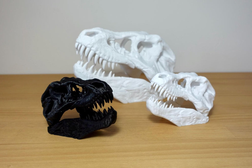 Detailed T-Rex Skull | Realistic Dinosaur Skull Decor | 3D Printed Fossil | Multiple Sizes & Colors
