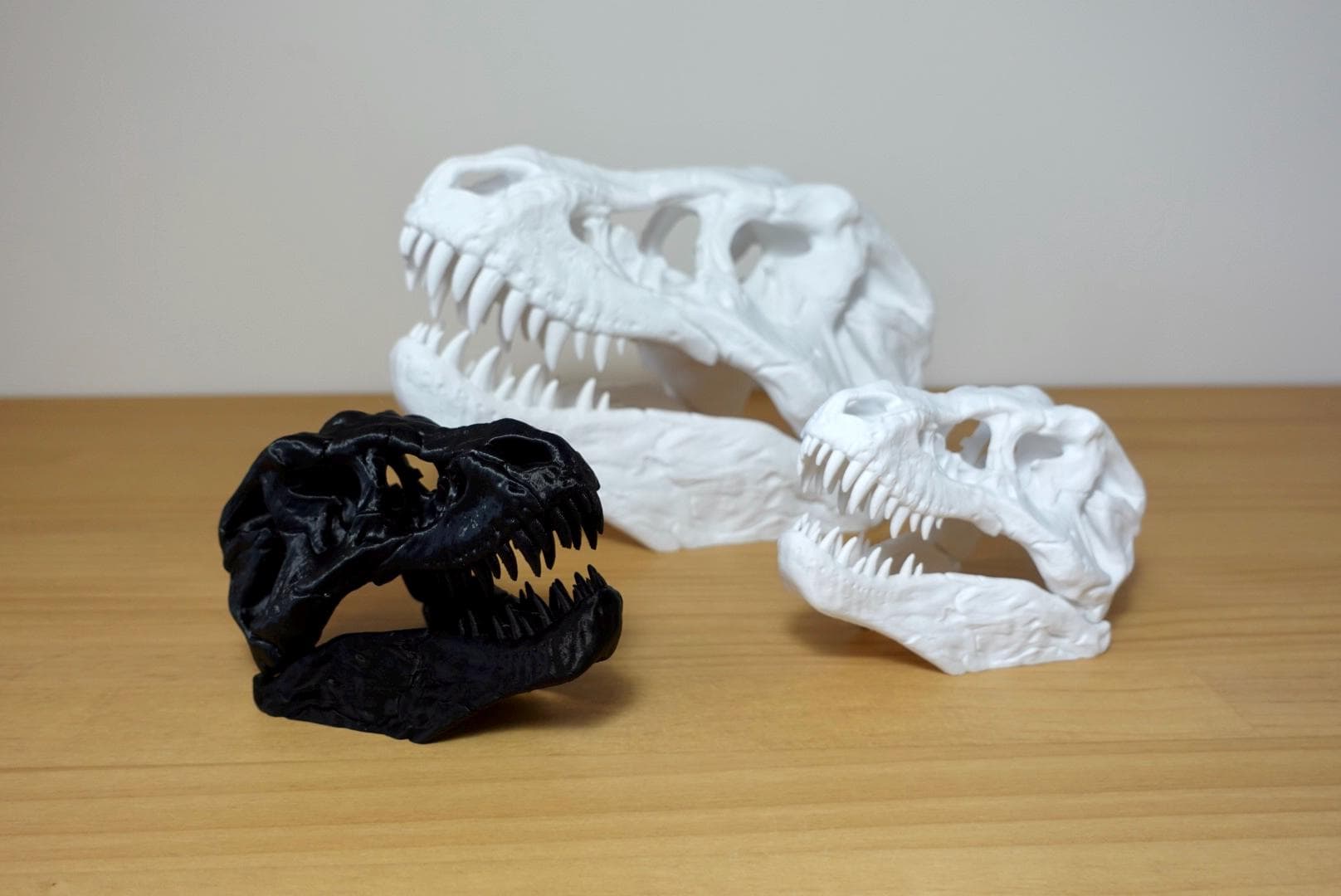 Detailed T-Rex Skull | Realistic Dinosaur Skull Decor | 3D Printed Fossil | Multiple Sizes & Colors